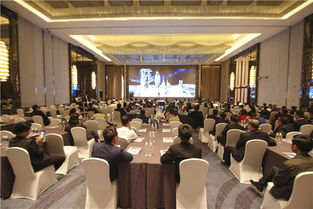 地市财经频道会议服务 推动地方经济协同发展的重要纽带